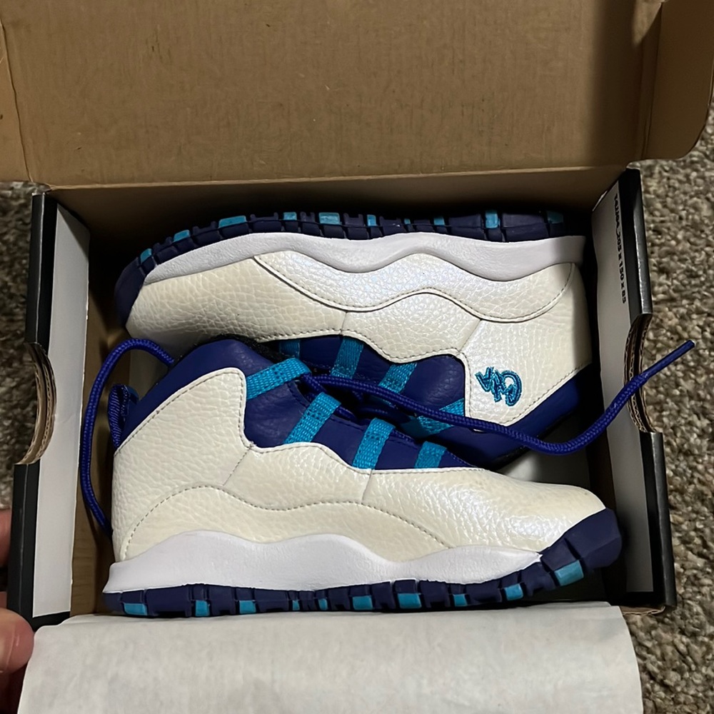 Charlotte hornet jordan 10